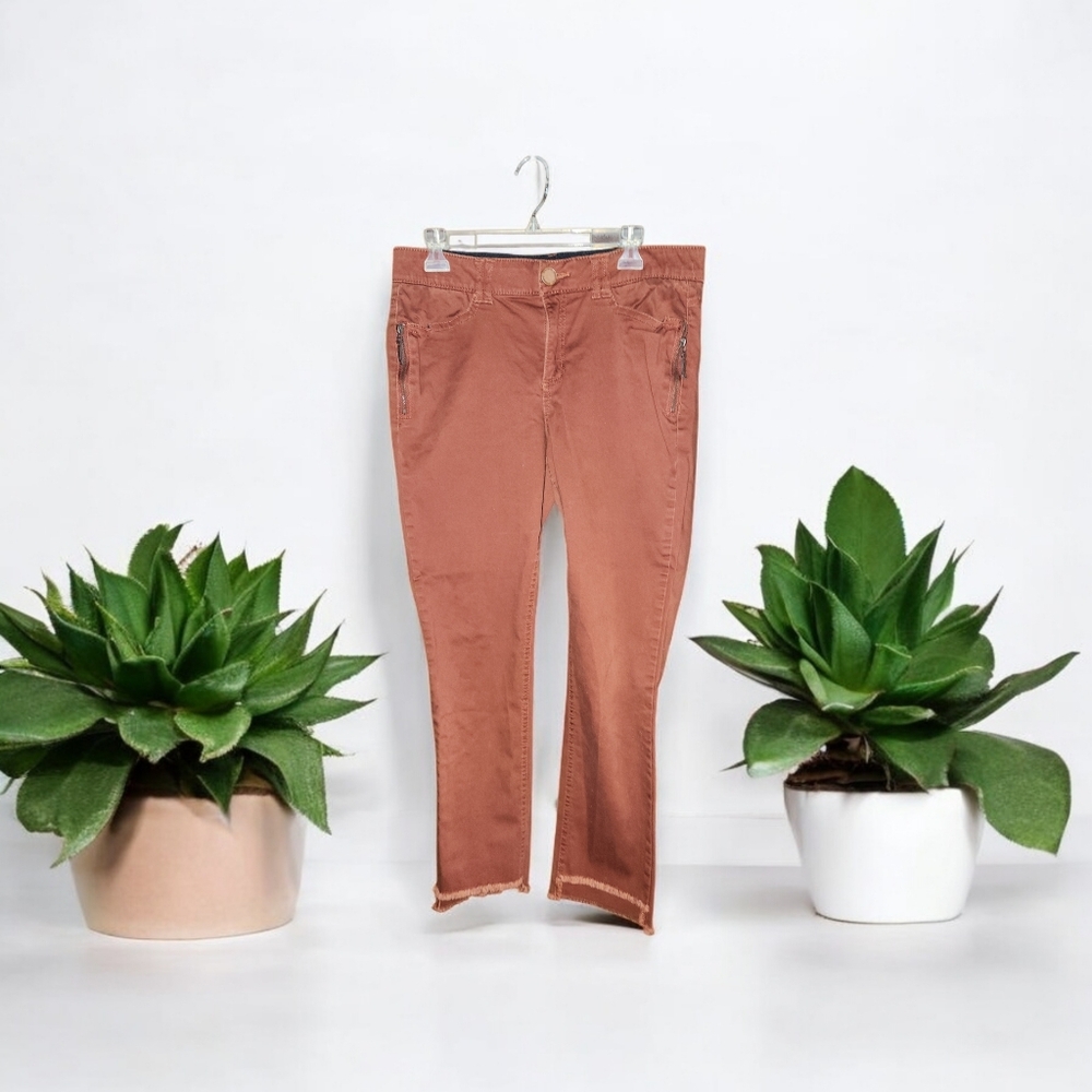 Demoracy Rust AB Technology Freedom Ankle Jeans Size 12